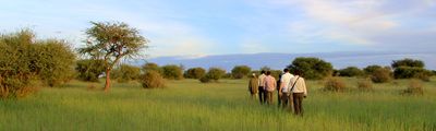 Walking Safari Sambia