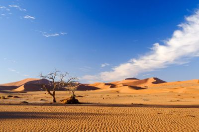 Garden Route Südafrika