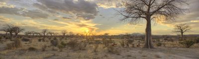Einreise Sambia