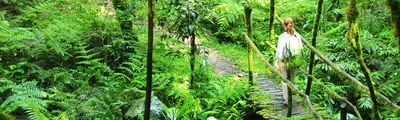 Wanderung Bwindi Nationalpark