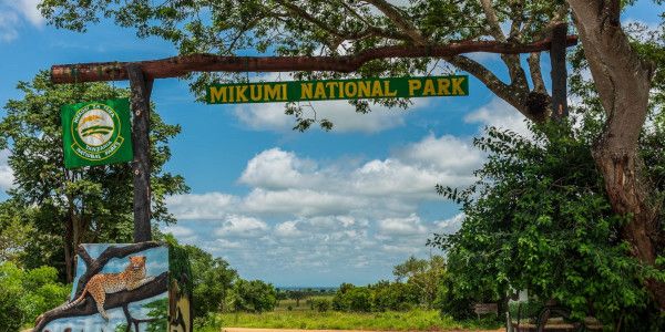Tansania Afrika Süden Mikumi Nationalpark Safari
