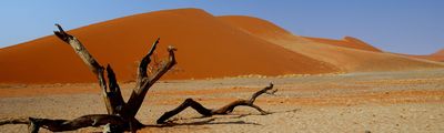 Namibia Sossusvlei Dune 45 Big Daddy Dünen