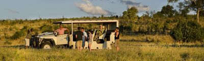 Wild Dogs Wildhunde Botswana Afrika Safari