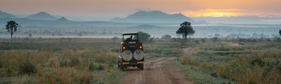 Uganda Ruanda Safari Gorilla Schimpansen Trekking Natur