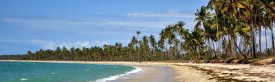 Strand Paradies Afrika Ozean Insel Korallen Beach