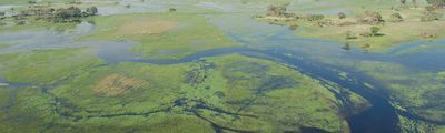 Botswana Okavango Delta Naturparadies  Mokoro