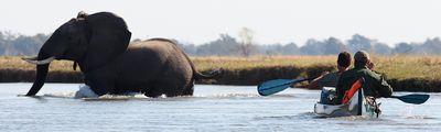 Mana Pools
