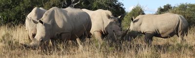 Muizenberg Kapstadt Urlaub Reise Afrika Garden Route Wild Südafrika
